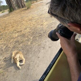 Tanzania safari. Man met camera die vanuit de safariauto een tot probeert te maken vaneen leeuwin die heel dichtbij ligt