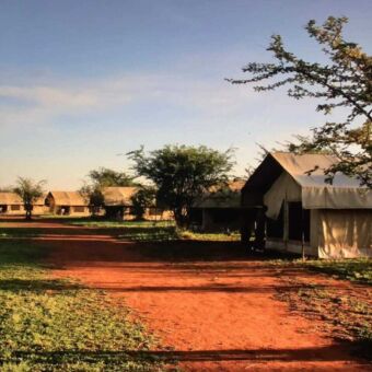Tanzania safari accommodatie. Verschillende safaritenten op de Serengeti. Liggend aan een oker gekleurde weg