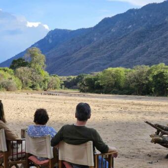 Safari Tanzania. Spotten van baboons vanuit een stoel in Lake Manyara Tanzania