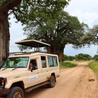 De safari auto van Droomreis Tanzania met een vrouw die op gamedrive is in TARANGIRE NATIONAL PARK