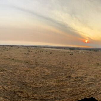 Landschap van de Serengeti met daarboven luchtballonnen
