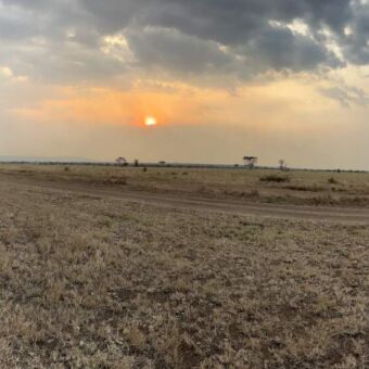 Zonsopkomst op de Serengeti tijdens een safari Tanzania