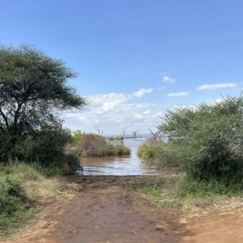 Modderweg die eindigt in het water in Ndutu Tanzania