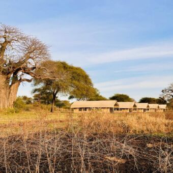 Tortilles Camp Tarangire Tanzania