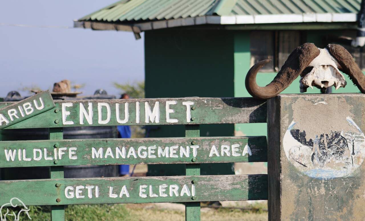 bord enduiment safari tanzania