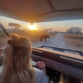 overstekende olifant vanuit de safariauto en een reiziger van droomreis tanzania op de voorgrond