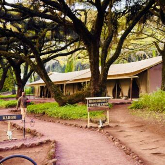 tortilles camp ngorongoro krater tanzania