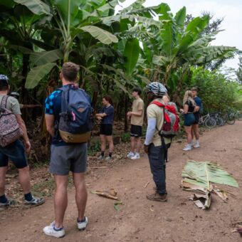 groep reizigers die uitleg krijgen van hun gids over de bananen plantages