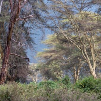 landschap van de Ngorongoro conservation area