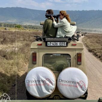 Vrouw met grote cameradia gaat voor de perfecte shot in een safariauto