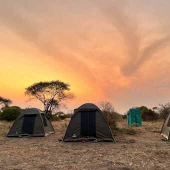 Special campsite in Tarangire bij een ondergaande zon
