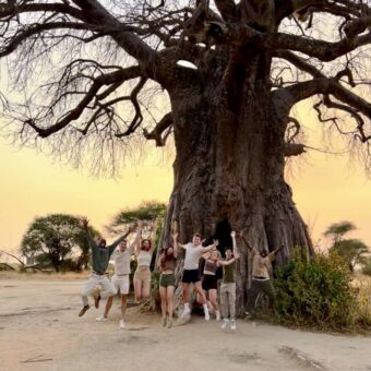 groep springende reizigers bij baobab in Tarangire