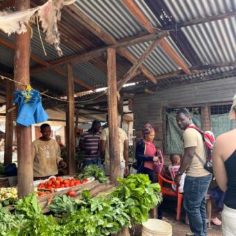 bezoek aan een lokale tanzaniaanse markt