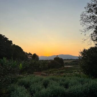 ondergaande zon in een prachtig groen landschap