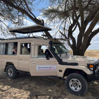 safariauto van droomreis Tanzania onder een boom met daarin gasten