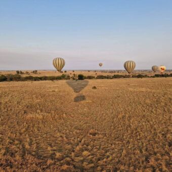 ballonvaart boven de Serengeti