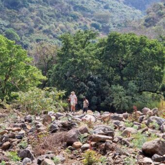 chimpansee trekking in Gombe National Park