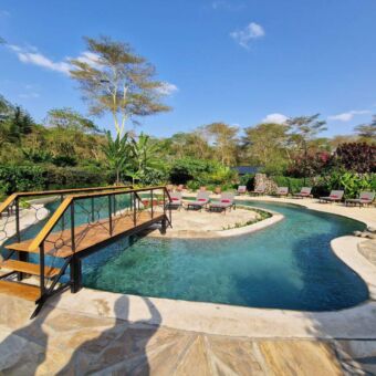 heerlijk zwembad met in het midden een eilandje