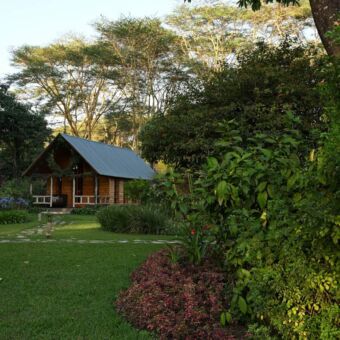 kamer midden tussen het grone van de mooie tuin