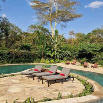 ligstoelen bij het zwembad