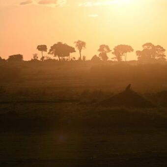ochtendgloren met een mistig landscahp