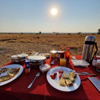ontbijten midden op de Serengeti