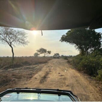 uitzicht vanuit de open safari auto