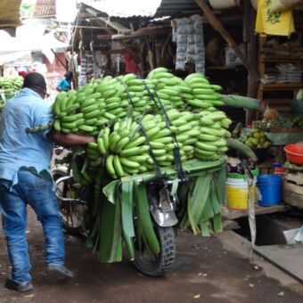 man met scoooter en daarop trossen bananen
