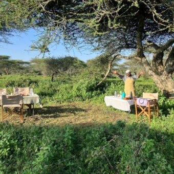 bush lunch bij het green camp in lake manyara