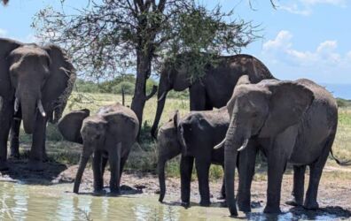 Geen haast, kijken, kijken, horen, horen en nog eens kijken Geen haast, kijken, kijken, horen, horen en nog eens kijken