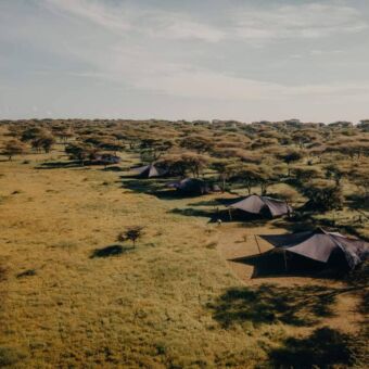 Luxe safaritenten op de Serengeti van Green Camp