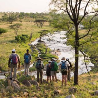 Groep mensen tijdens een wandelsafari naar het kleine Green Camp