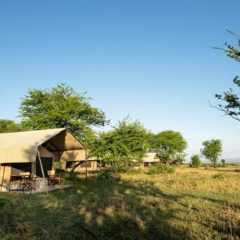 Accommodaties-Safari-Tanzania-Kati-Kati-tented-camp van buiten
