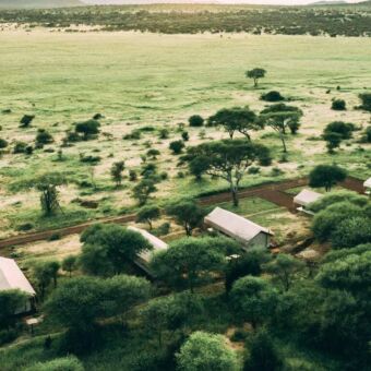 Accommodaties Safari Tanzania Tarangire tortiliscamp top-image