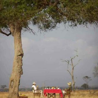 Twee mensen aan een tafeltje tijdens een bushlunch onder een boom