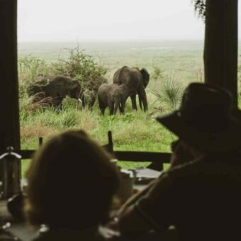 Vanuit de dining tent zien we ineens olifanten die onze kant opkomen