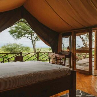 Familie tent met zwembad en uitzicht over de savannes