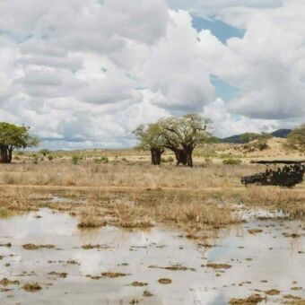 Water en moeras op de voorgrond met daarachter een safari auto in Ruaha