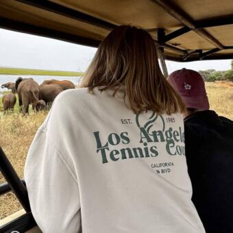 Een blik vanuit een safariauto op een groep Afrikaanse olifanten in het Tarangire National Park, met een olifant die het voertuig passeert.