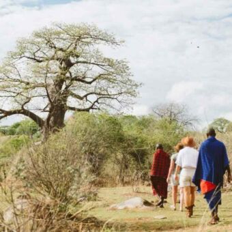 Wandelsafari met de Masai in Ruaha National Park Tanzania