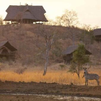 Twee zebra's met op de heuvel een safari accommodatie