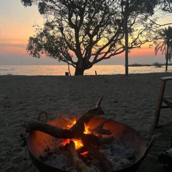Kampvuur in een schaal op het strand met daarachter een boom
