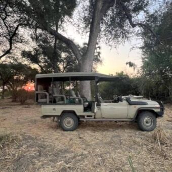 Onder een boom een open safariauto in Ruaha