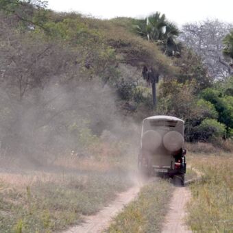 Achterkant van een rijdende safari auto wat veel stof doet opwaaien