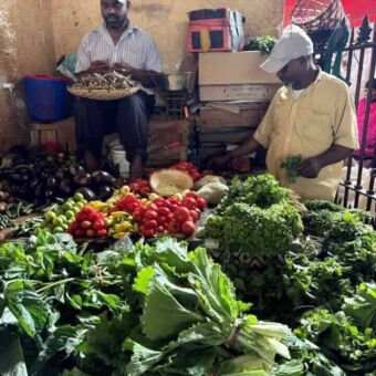 Groente kraam met daarachter de verkoper en iemand die op een stoel zit