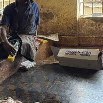 Octopussen bij een marktkraam met daarachter zittend de verkoper