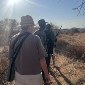 Vrouw met gids en ranger op wandelsafari in Ruaha